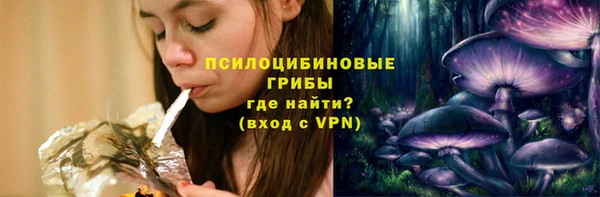 меф Вяземский