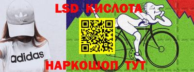 шишки Бийск
