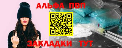 шишки Бийск