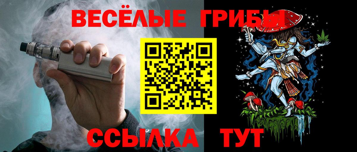 Псилоцибиновые грибы мицелий Гуково