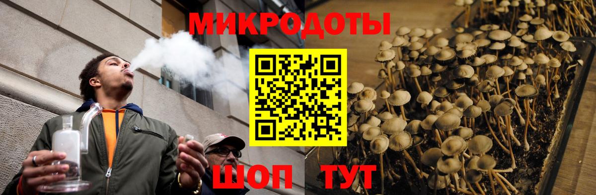 Галлюциногенные грибы прущие грибы  Псилоцибиновые грибы Magic Shrooms  Гуково  Вход с VPN 