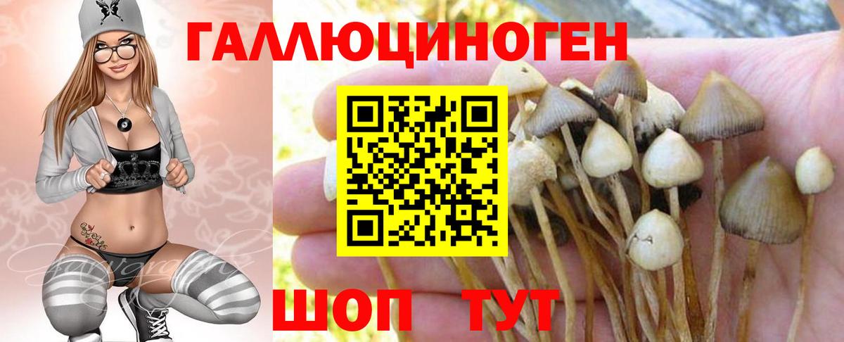 APVP Гуково